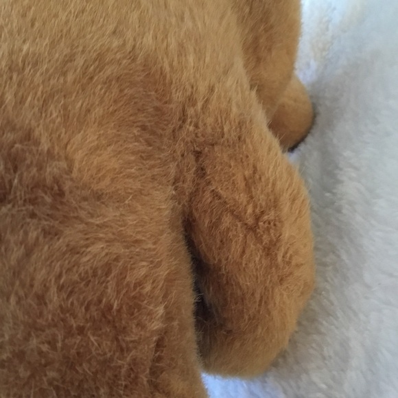 Honeybee Brown Plush Bear Toy - Picture 11 of 13
